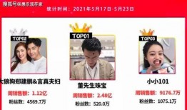 网红自我爆料视频大全集,揭秘幕后生活与真实情感