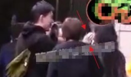 狗仔爆料全集在线观看视频,揭秘娱乐圈幕后真相